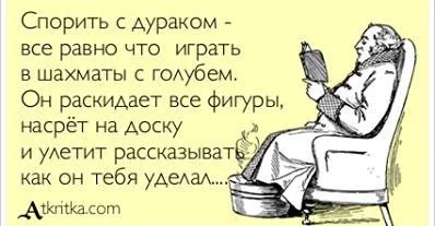 спорить с дураком.webp