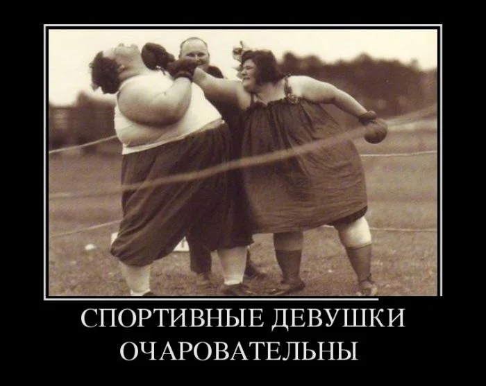 спортивные девушки.webp