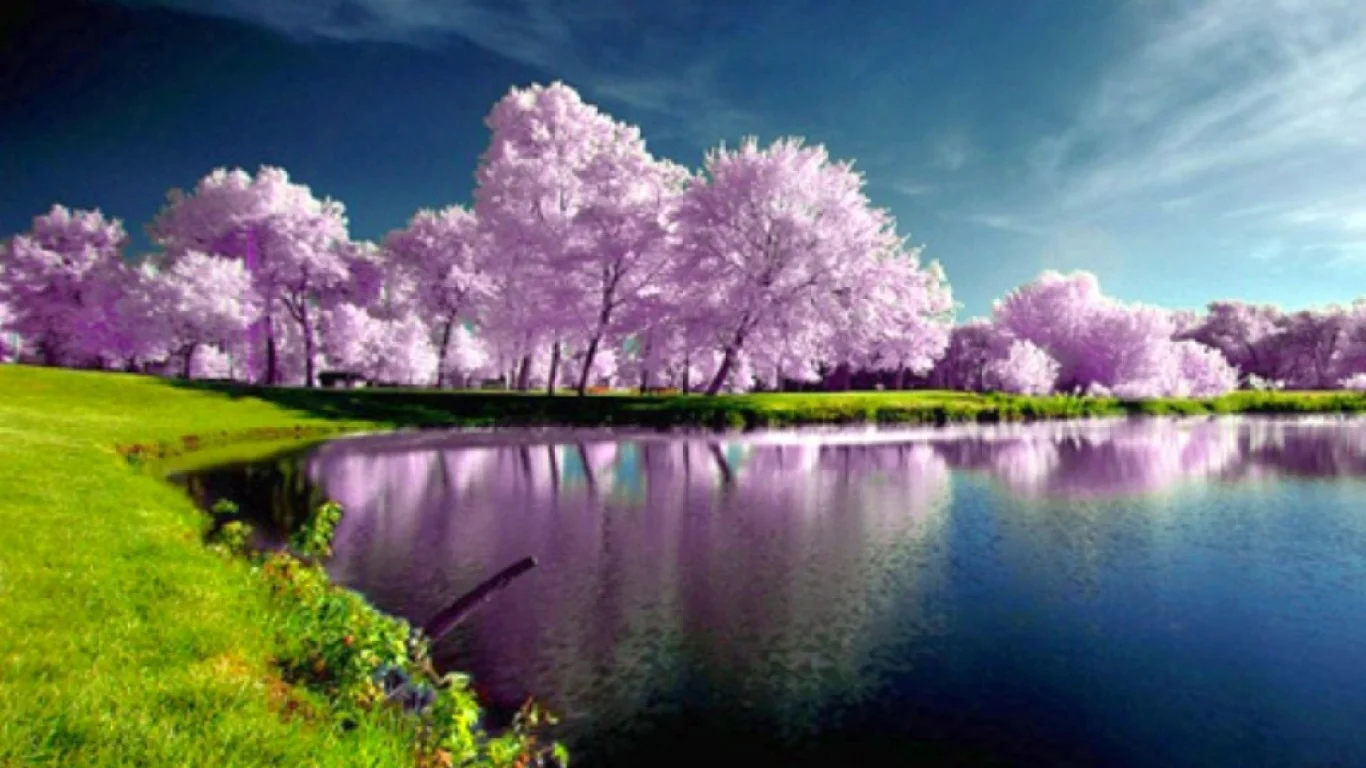 spring-wallpapers.webp