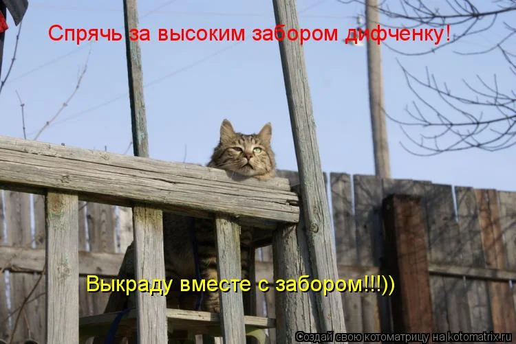 спрячь за высоким.webp