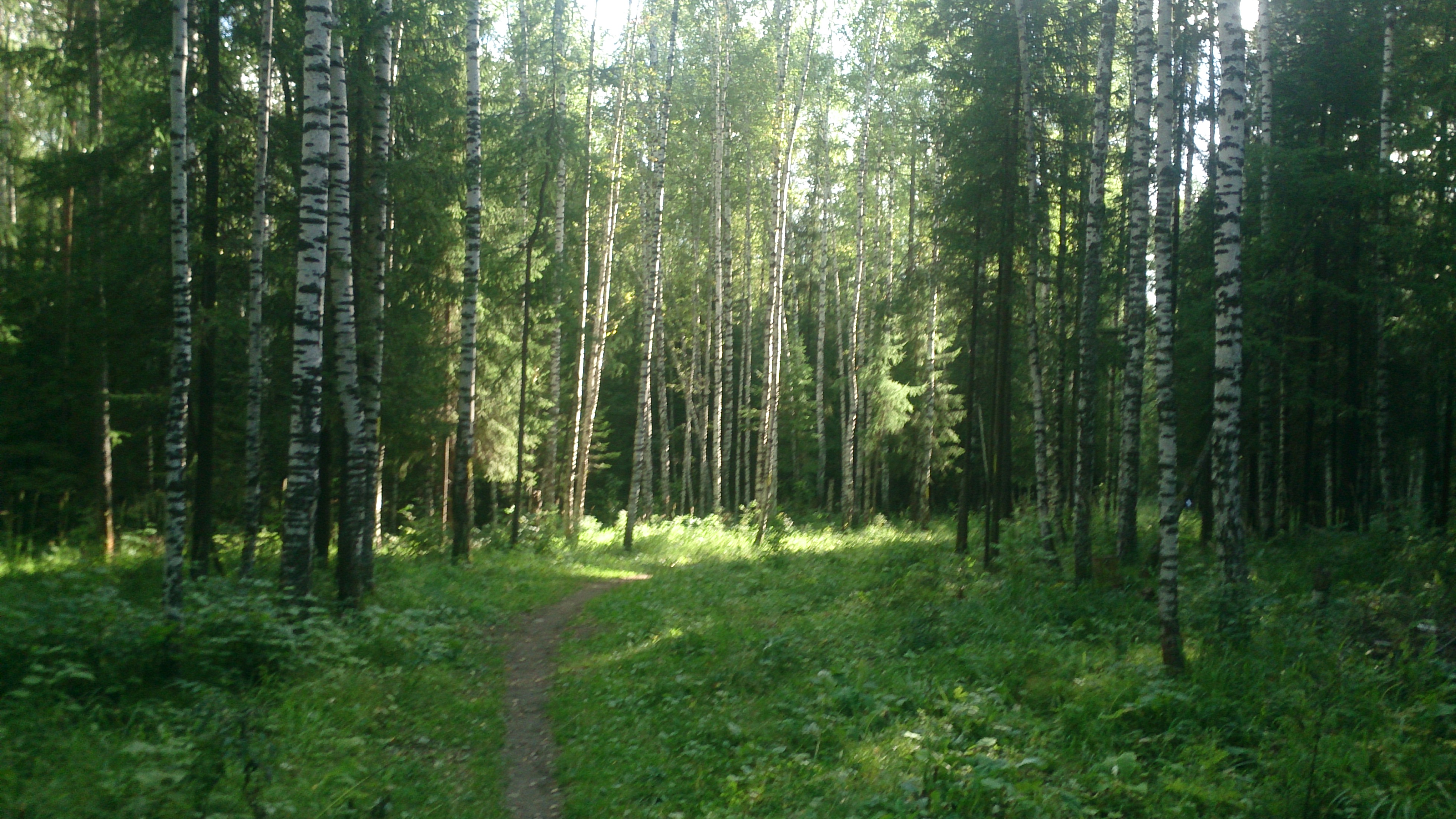 Спуск в аапендикс (если бежать против шерсти).JPG