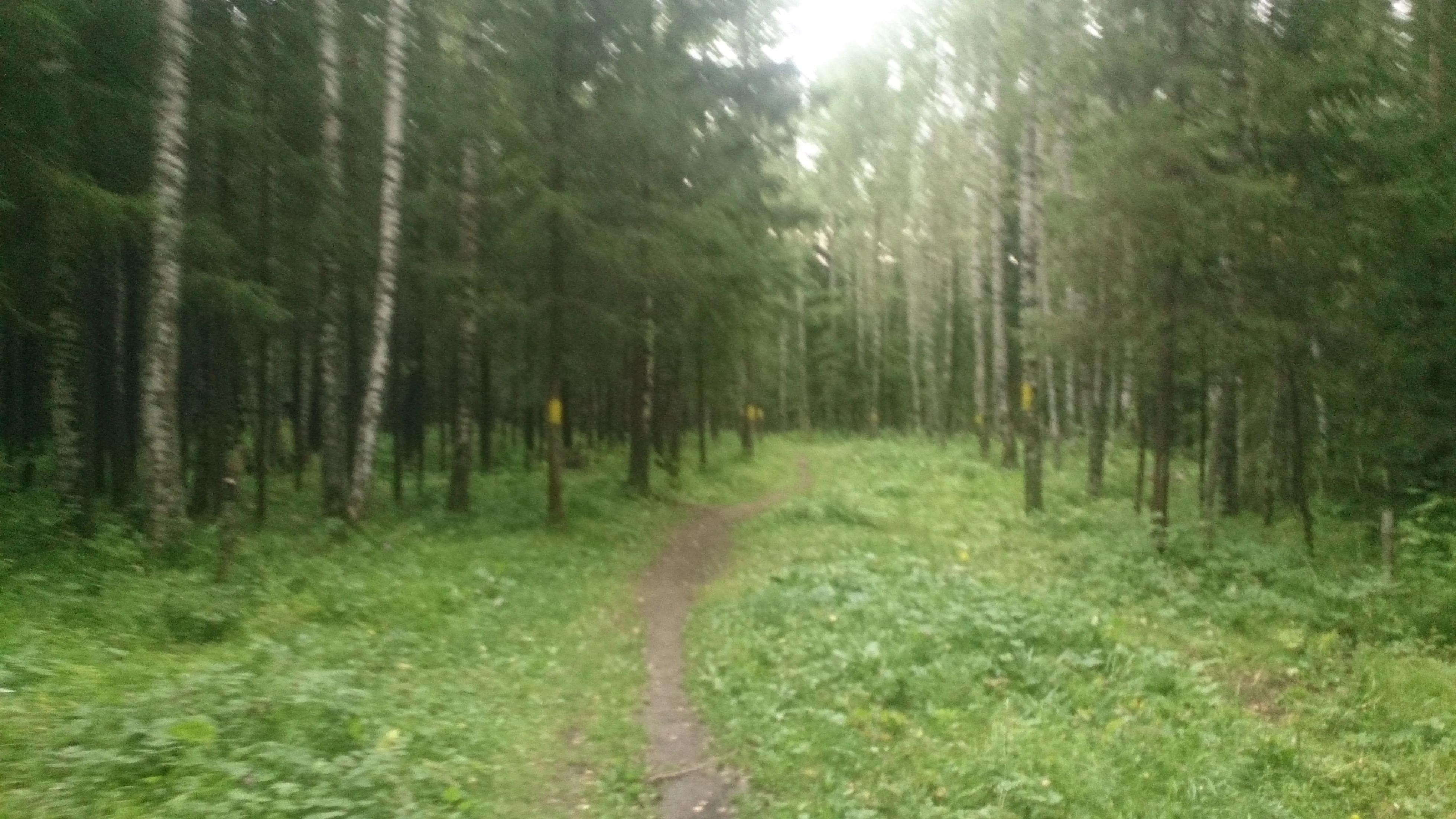 Спуск в аппендикс.webp