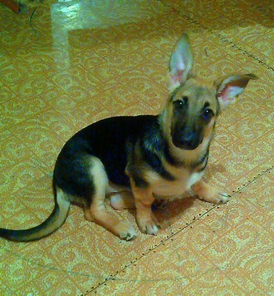 SqdV3exAdUc.webp
