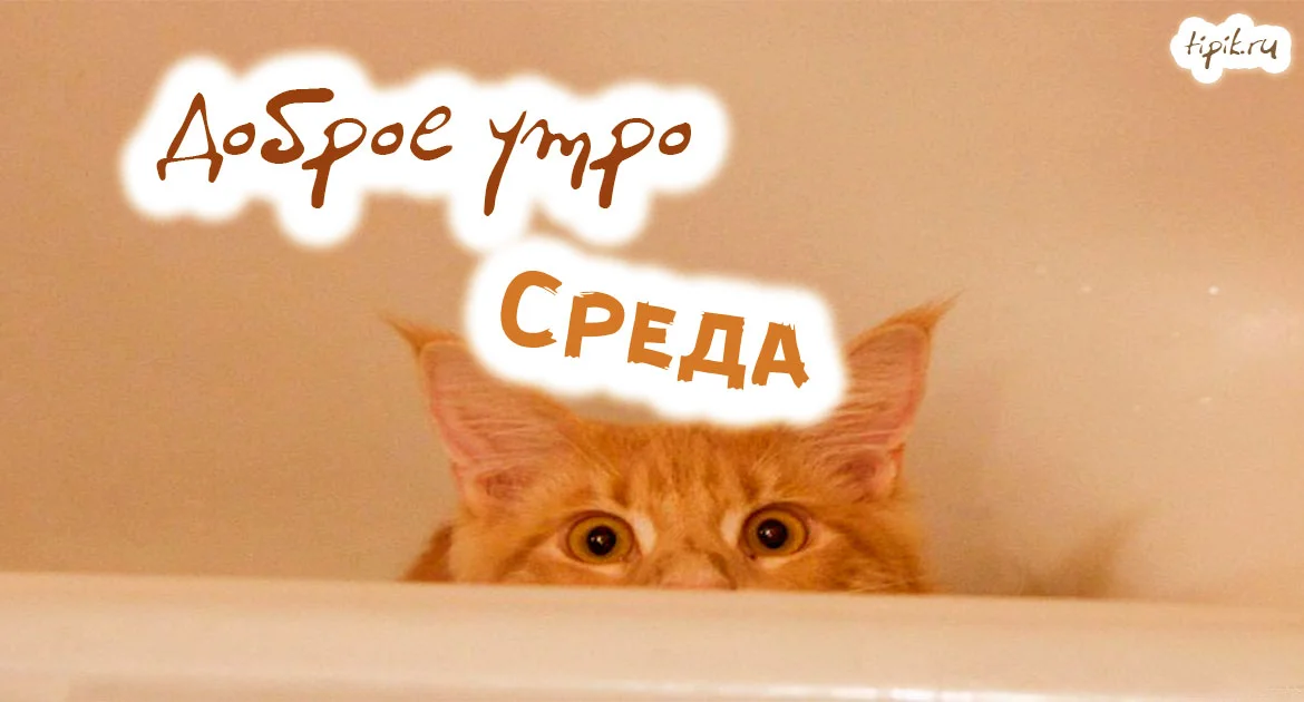 ср16.webp