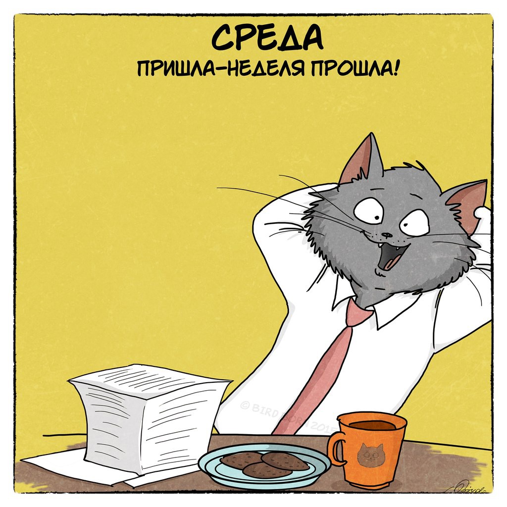 среда.jpg