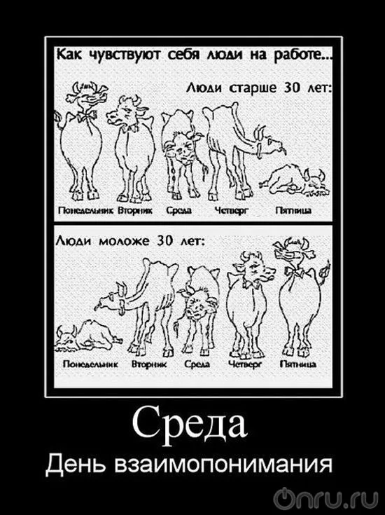 СРеда.webp
