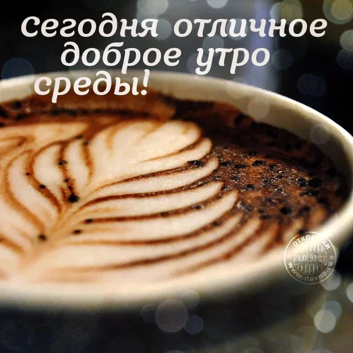 Среда1.webp