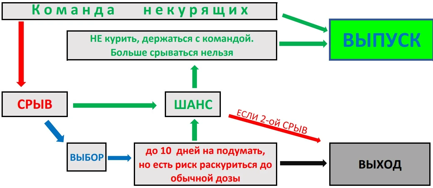 СРЫВ.webp