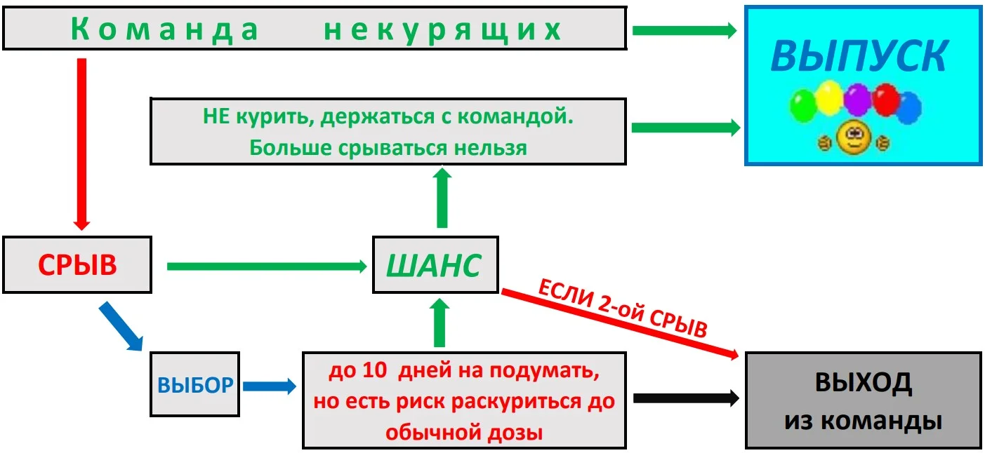 СРЫВ2.webp