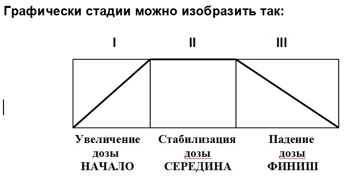 стадии.jpg