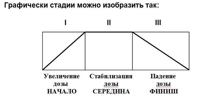 Стадии.png