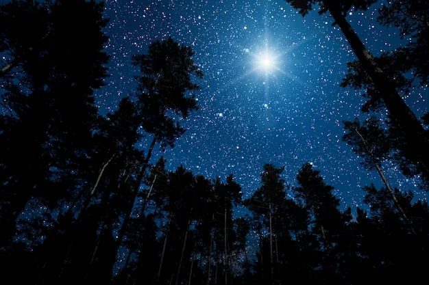 star-shines-blue-night-sky_180633-463.webp