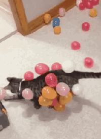 static_balloon_cats_02.gif