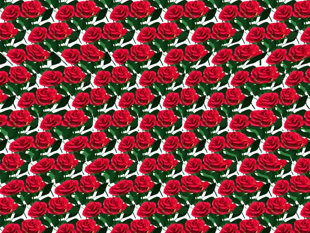 stereogrammy-7 (1).webp