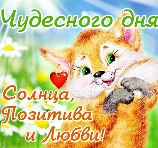 stihi_ljubimoj_devushke_s_dobrym_utrom (1).webp