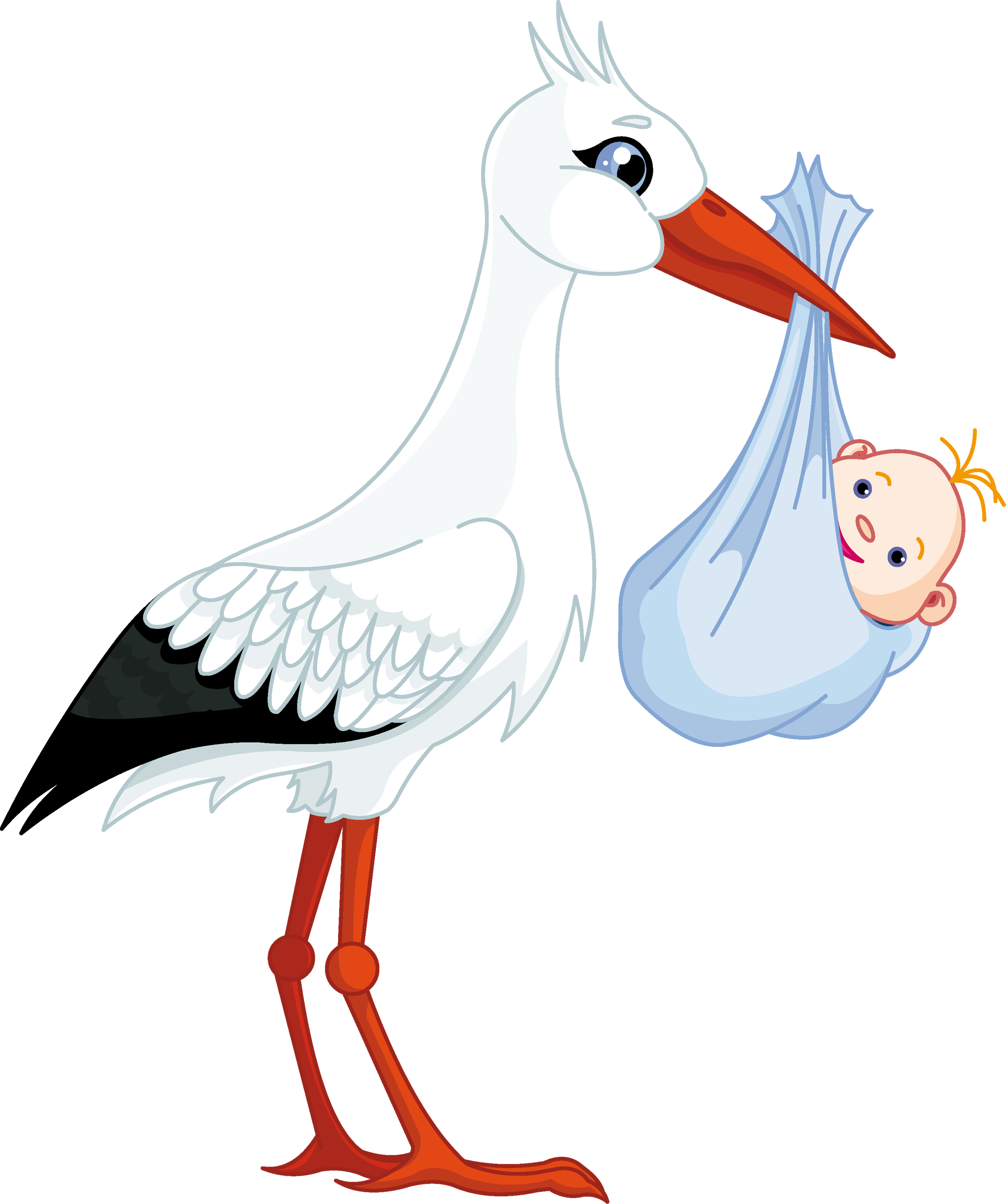 stork_PNG7.png