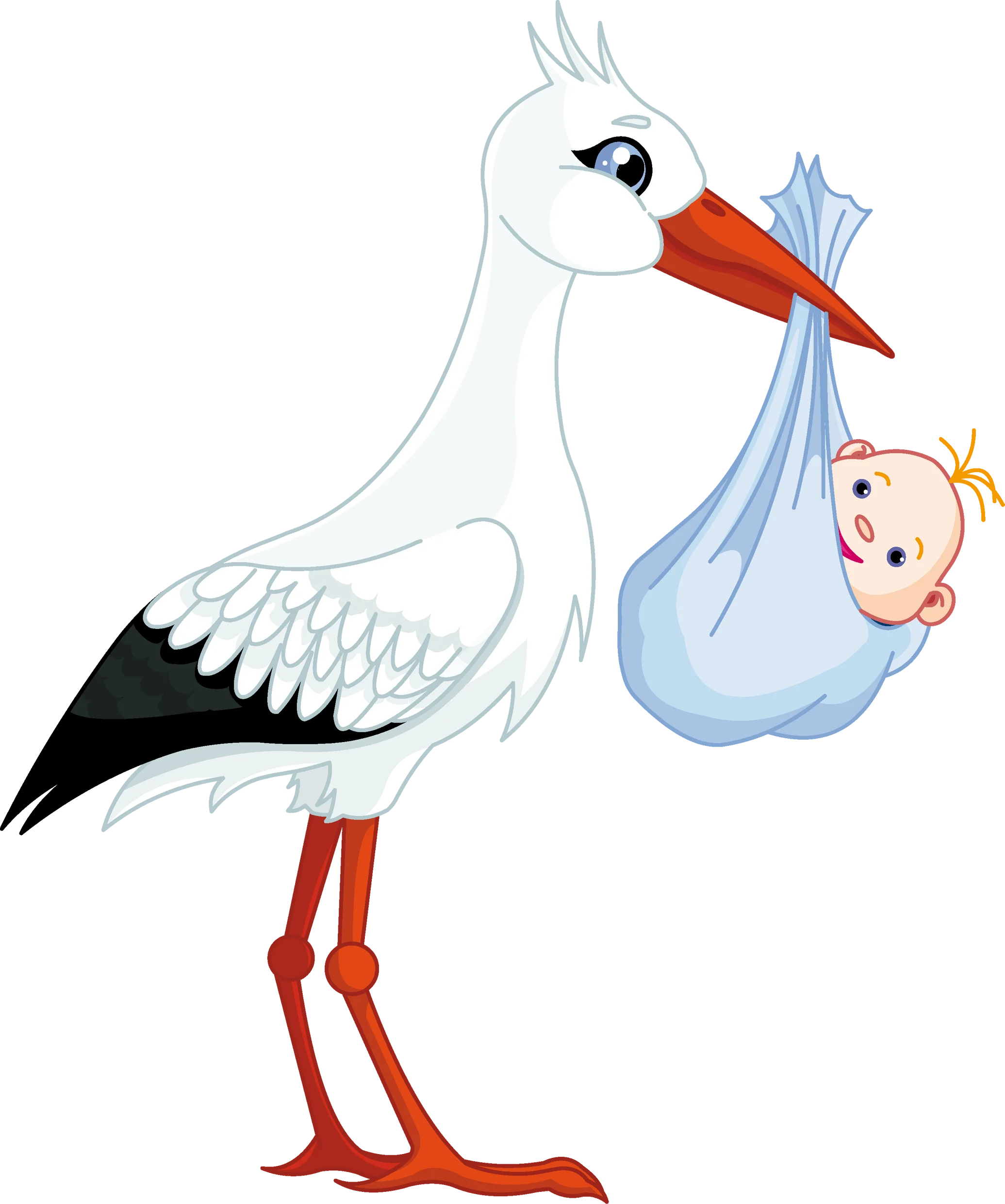 stork_PNG7.webp