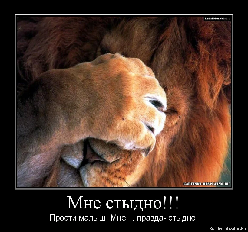 стыдно.webp