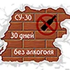 СУ-30.webp