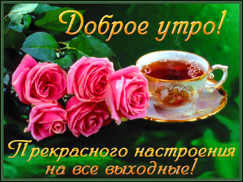 суббота 19.05.gif