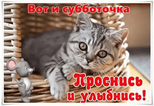 суббота 3.webp