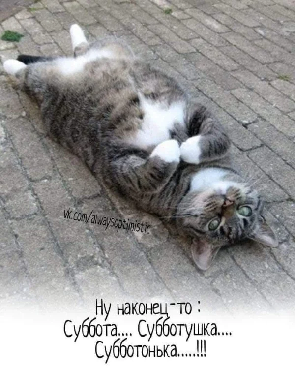 subbota_3_81878075.webp
