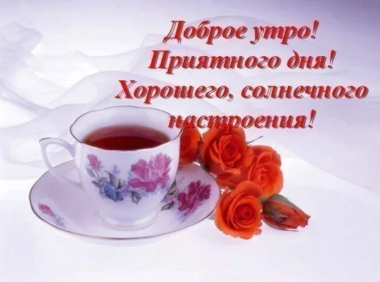 субботнее утро.webp