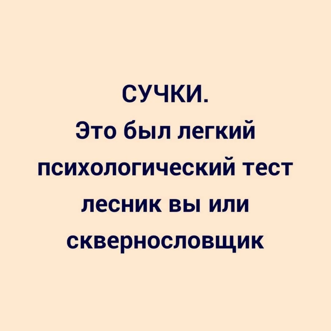 СУЧКИ.webp
