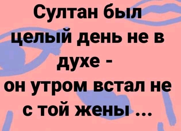 Султан.JPG