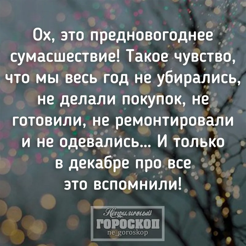 сумасшествие.webp