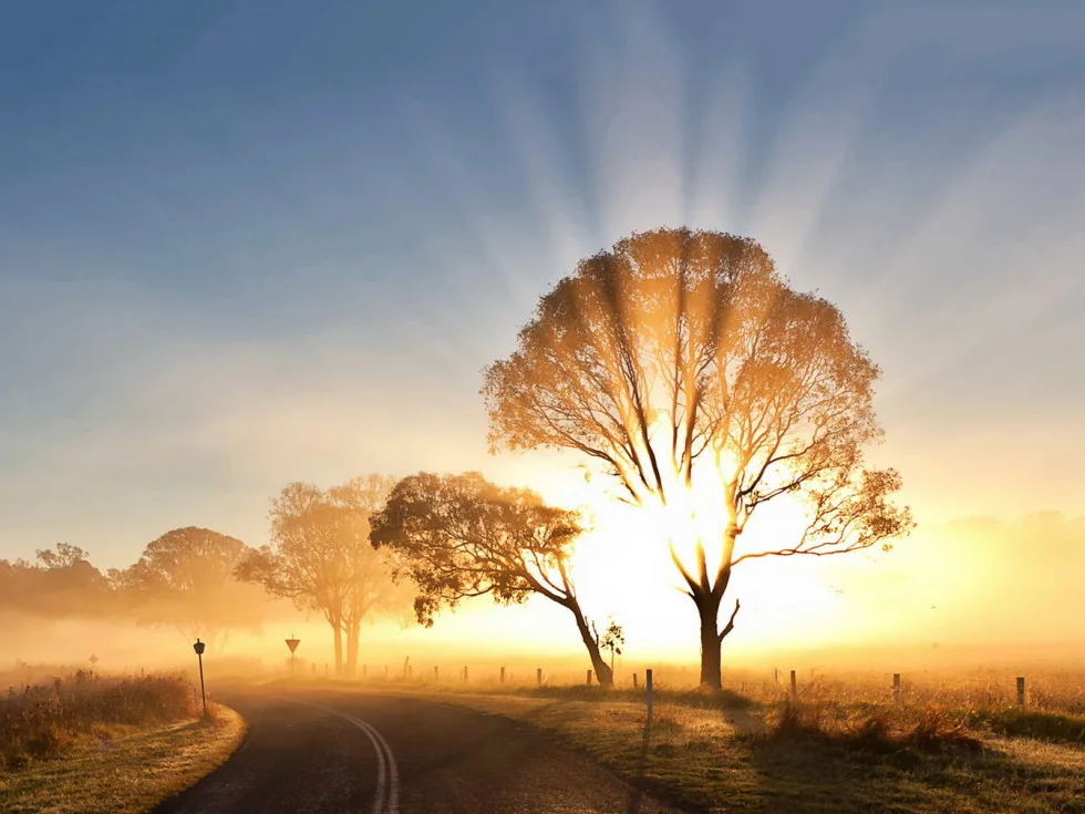sunrise-morning-mist9-980x735.webp
