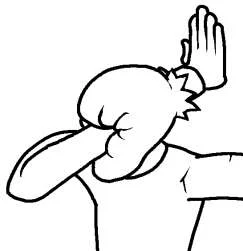 Super_Facepalm.webp