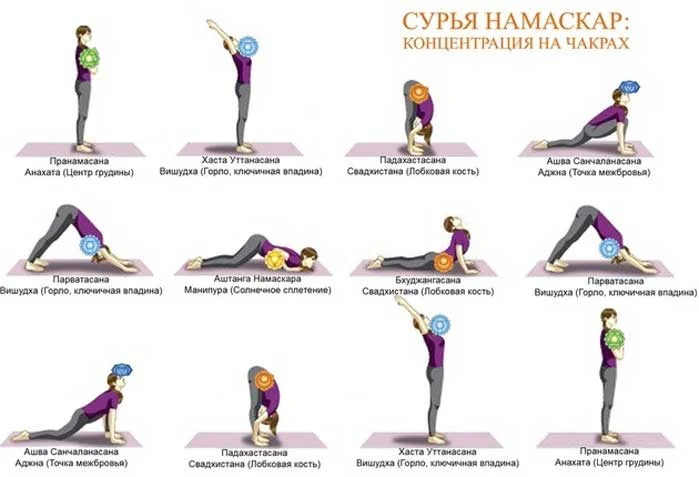 surya-namaskar-2.webp