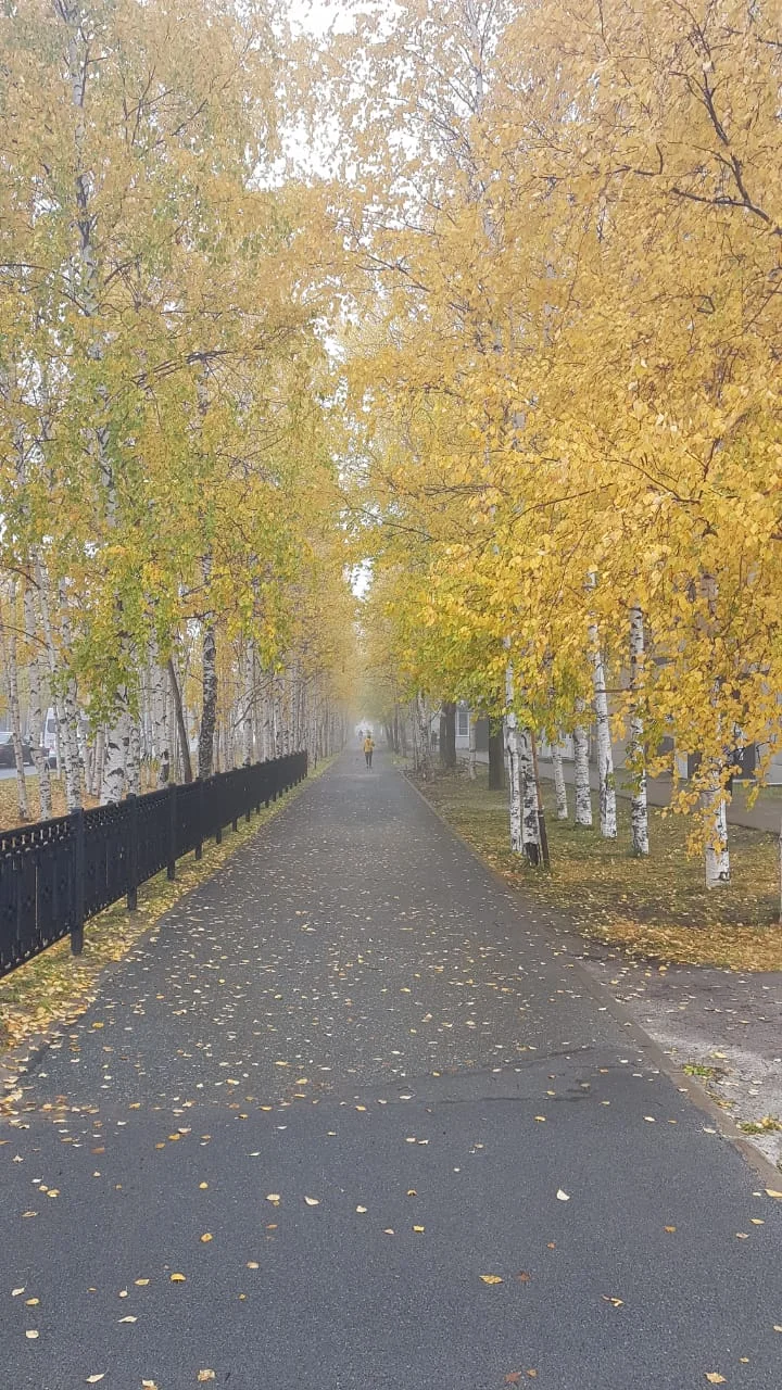 светлана 084.jpg