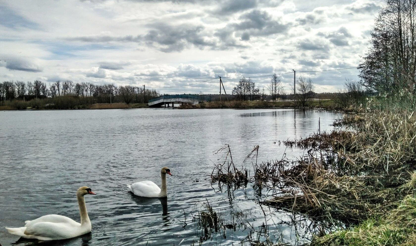 Светлана 542Река Бобр.jpg