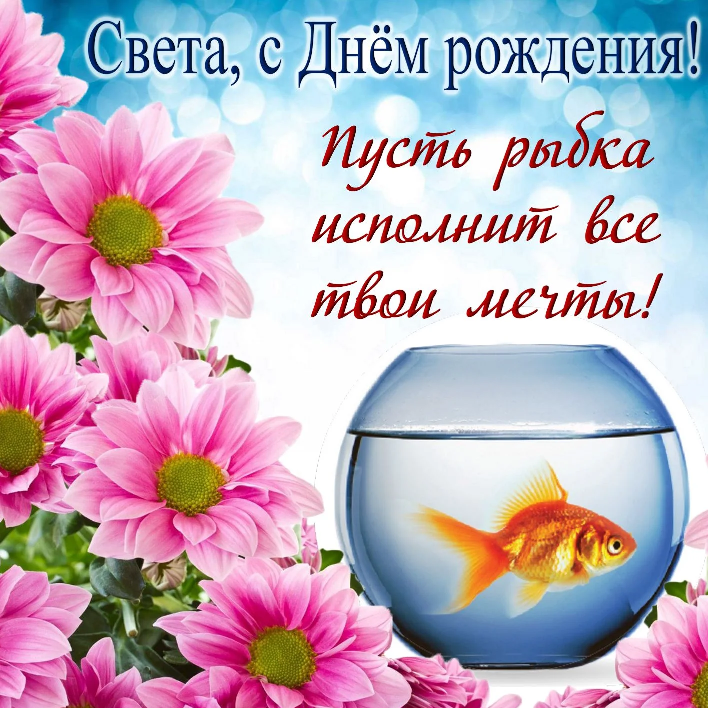 svetlana0021.webp
