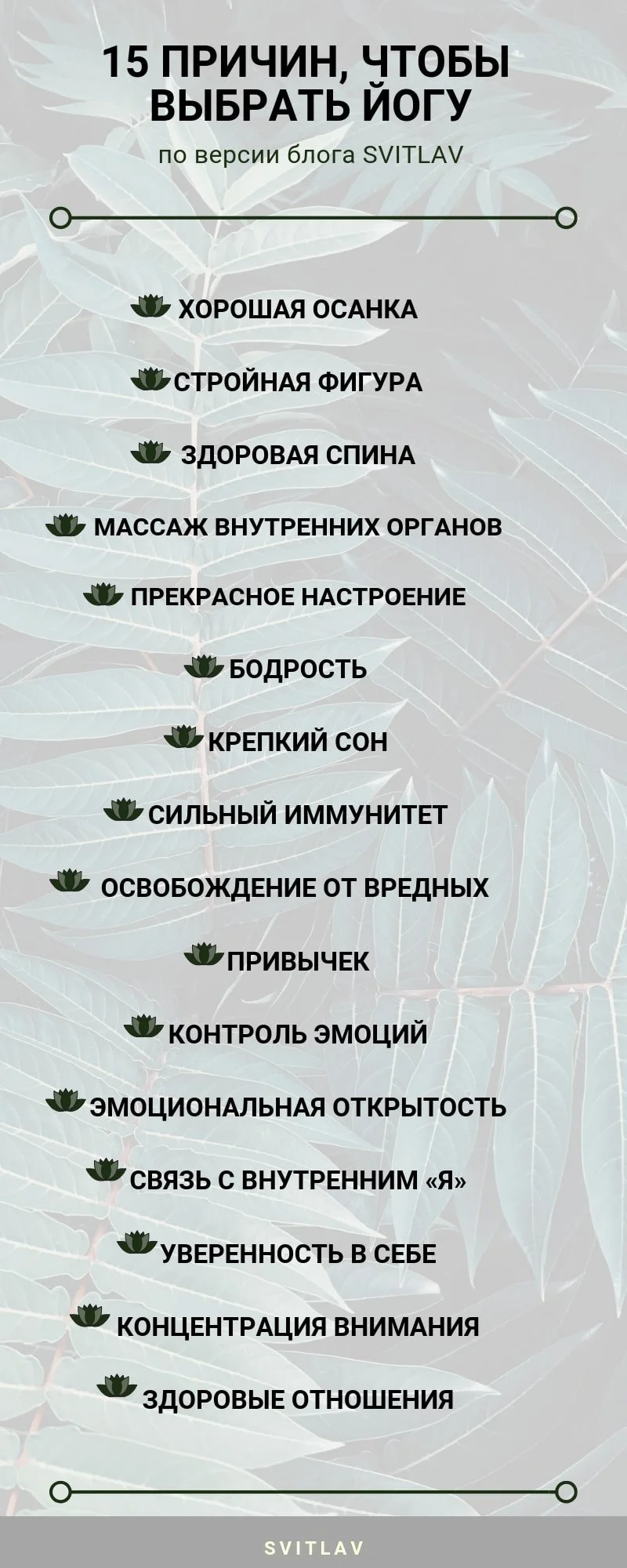 SVITLAV-min.webp