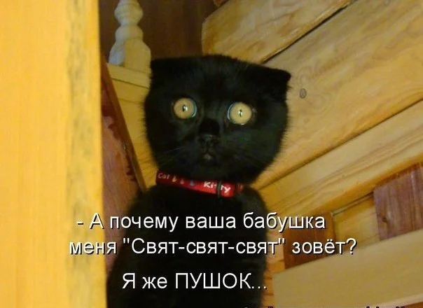 Святefbd7d.webp