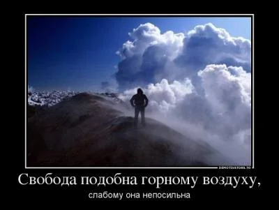 svoboda.webp