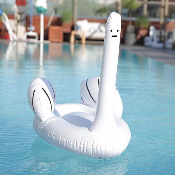 Swan-Plus-Pool_grande.jpg