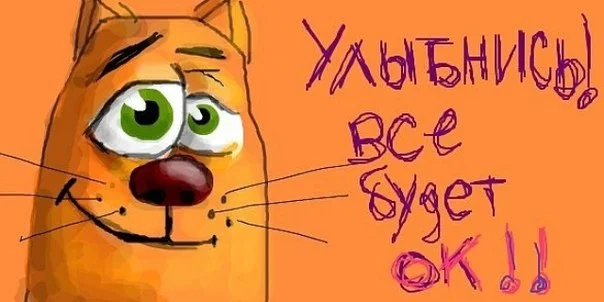 sXDP6VCNZGM.webp