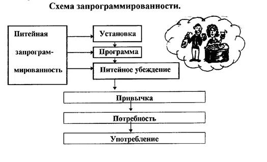 Схема запрограммированности.webp