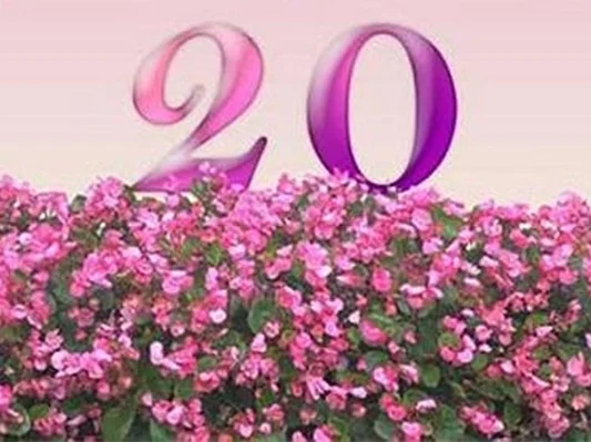 t1cf896803-c17e-45e8-a3c7-95d05e6f6029.webp