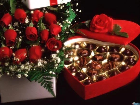 T7N4387M.webp