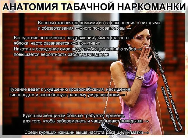 tabak-27.webp