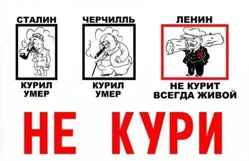 tabak_fytzal.ru (1).webp