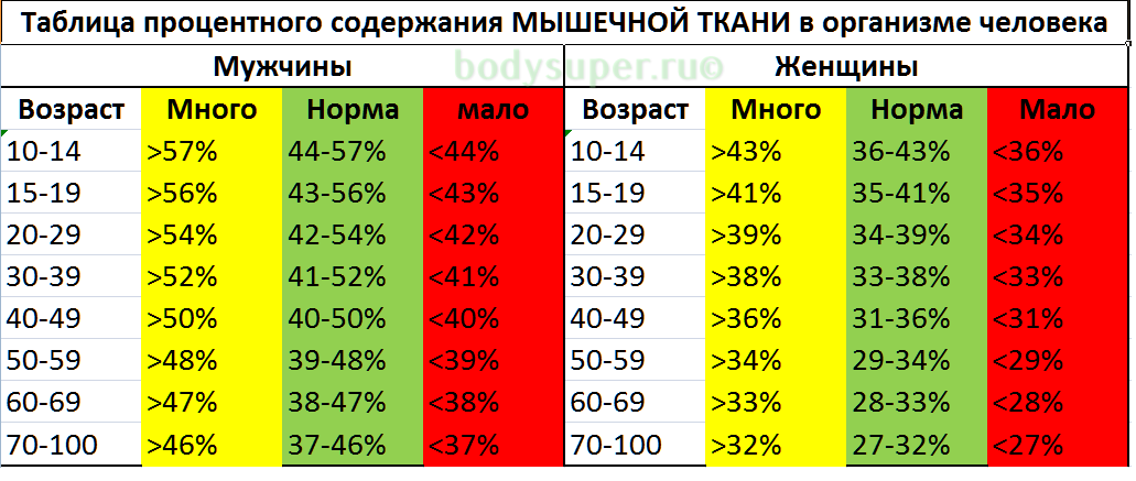 Таблица-содержания-мышечной-ткани-в-организме-человека.png