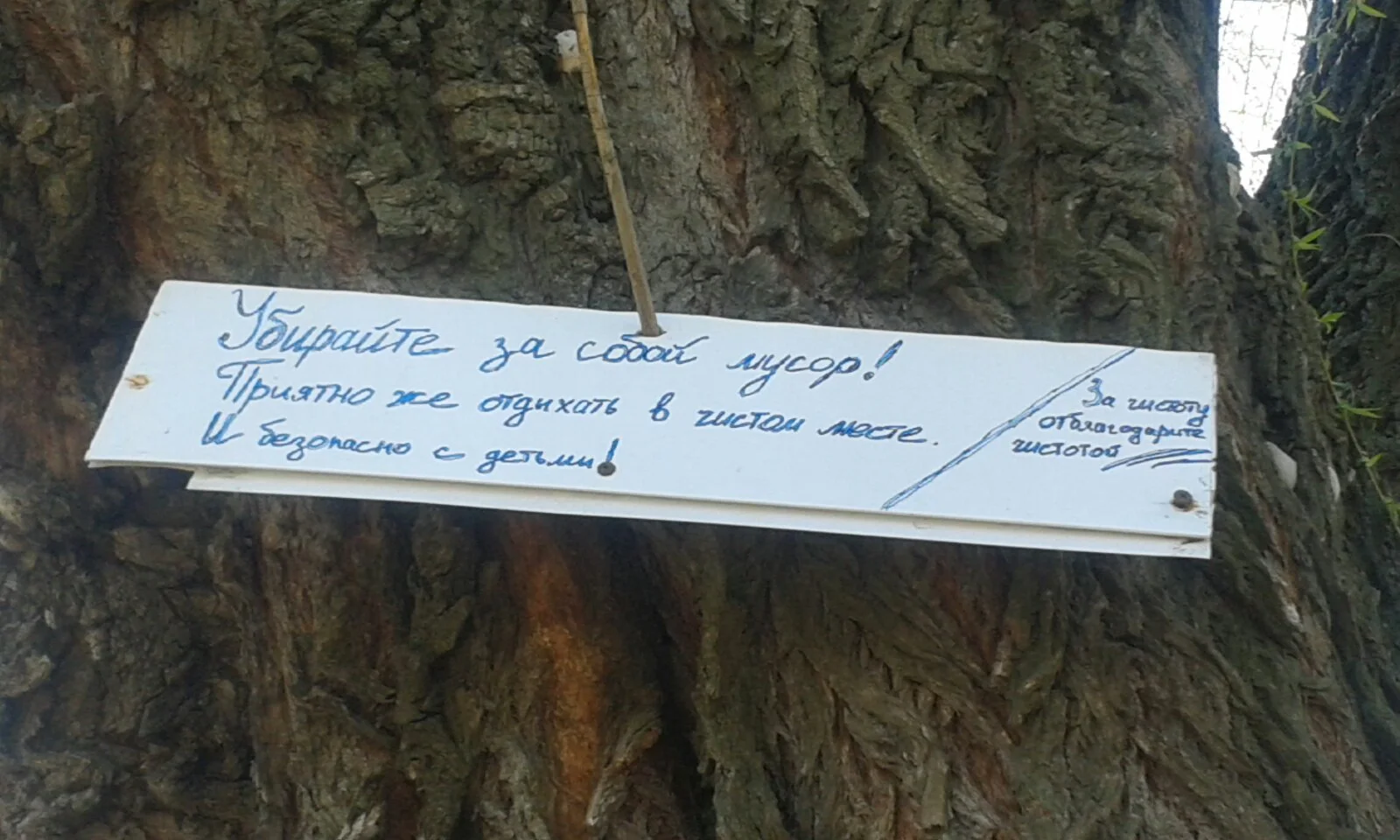 Табличка 05.04.20.webp