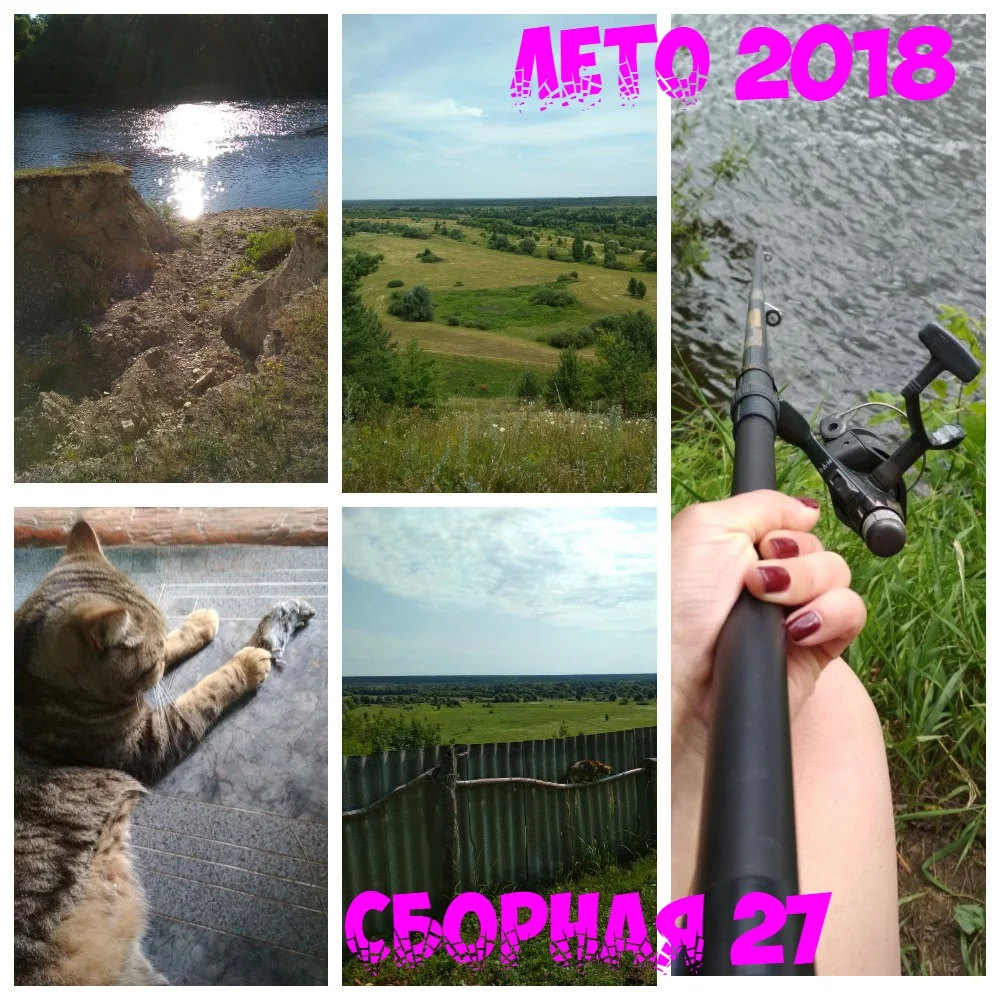 Тайга коллаж1.webp