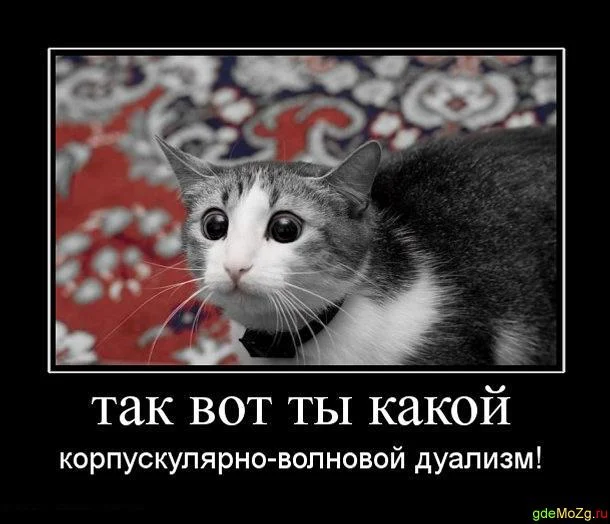 tak_vot_ty_kakoj.webp